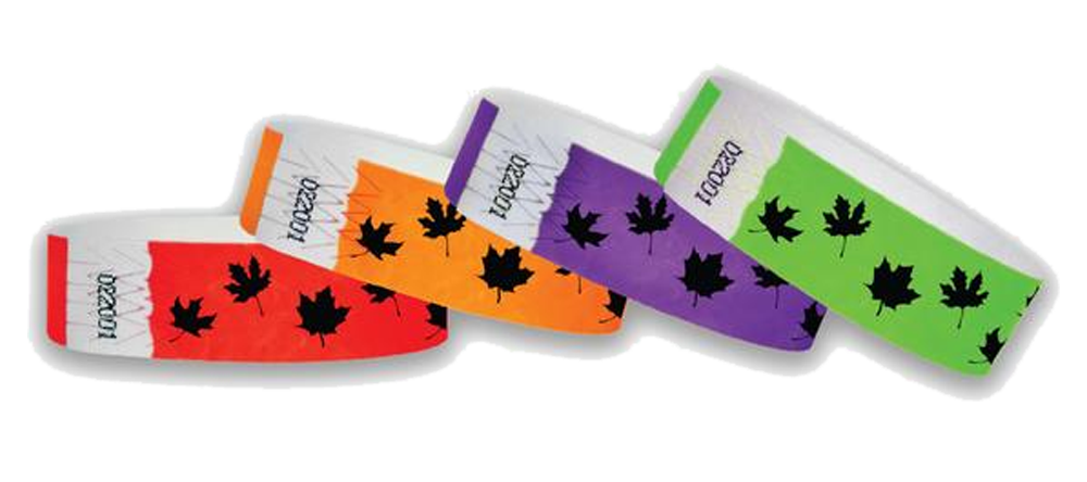 Fall/ Autumn- Otoño