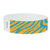 Neon Zebra