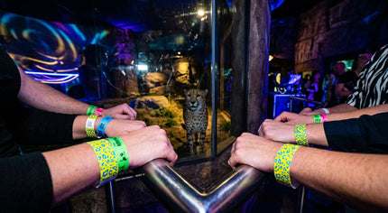 Animal Wristbands