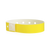 Pantone Yellow